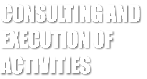 CONSULTING AND EXECUTION OF ACTIVITIES