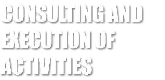 CONSULTING AND EXECUTION OF ACTIVITIES